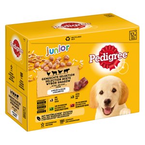 Pedigree Junior Multipack kapsičky v želé - 12 x 100 g Junior 4 Varianty v želé