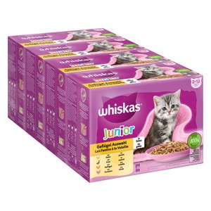 Mega balení Whiskas Junior kapsičky 48 x 85 g / 100 g - drůbeží výběr v želé (85 g)