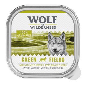 Wolf of Wilderness Adult 6 x 300 g - Green Fields - jehněčí