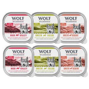 Wolf of Wilderness Adult 6 x 300 g - Mix: 2 x hovězí, 2 x krůtí, 2x jehněčí