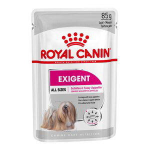 Royal Canin Exigent Mousse - 24 x 85 g