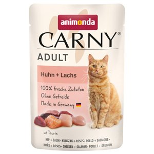 Animonda Carny Pouch 12 x 85 g - kuřecí a losos