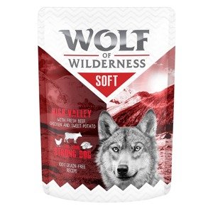 Wolf of Wilderness "Soft & Strong" 6 x 300 g - High Valley - kuřecí a hovězí