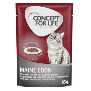 Concept for Life Maine Coon Adult (ragú) - 12 x 85 g