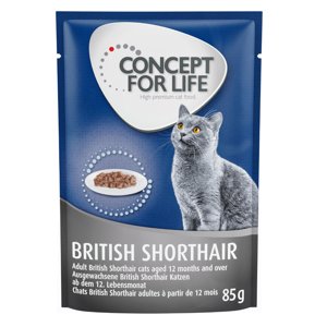 Concept for Life British Shorthair Adult (kvalita ragú) - 12 x 85 g