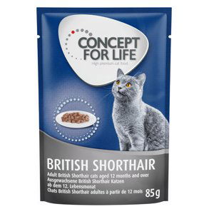 Concept for Life British Shorthair Adult (kvalita ragú) - 24 x 85 g