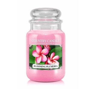 Vonná svíčka Country Candle Blooming plumeria - 104 g / 1-knotová