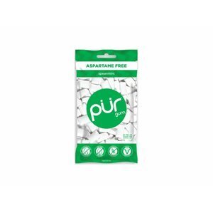 The PÜR Company Přírodní žvýkačky bez aspartamu a cukru - Spearmint| PÜR Množství: 55 ks