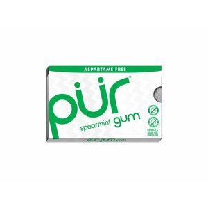 The PÜR Company Přírodní žvýkačky bez aspartamu a cukru - Spearmint| PÜR Množství: 9 ks