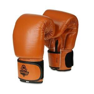 Boxerské rukavice DBX BUSHIDO DBD-B-1 Name: Boxerské rukavice DBX BUSHIDO DBD-B-1 12 oz, Size: 12z.