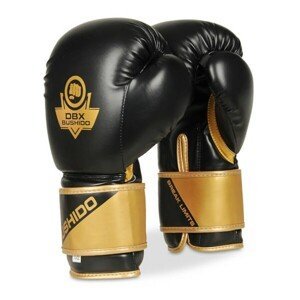 Boxerské rukavice DBX BUSHIDO B-2v10 Name: B-2v10 10oz. boxerské rukavice DBX BUSHIDO, Size: 10oz