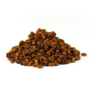 Rakytník řešetlákový - plod celý - Hippophae rhamnoides - Fructus hippophae 250 g