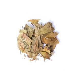 Jinan dvoulaločný - list- Ginkgo biloba - Folium ginkgo 1000 g