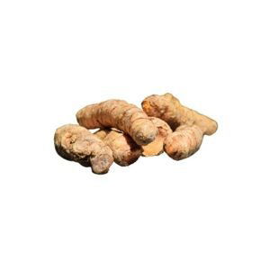 Kurkumovník dlouhý, kurkuma - kořen celý - Curcuma longa - Radix curcumae 250 g