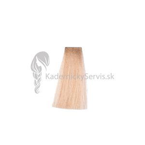 OiVita 39 Hair Cream Color - profesionální hydratační krémová barva na vlasy, 100 ml 10.3 - Platinum Golden Blonde