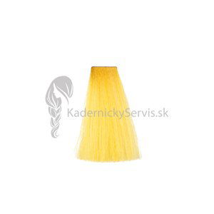 OiVita 39 Hair Cream Color - profesionální hydratační krémová barva na vlasy, 100 ml Yellow - Corrector