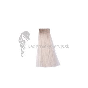 OiVita 39 Hair Cream Color - profesionální hydratační krémová barva na vlasy, 100 ml 11.7 SS - Superlightener Irisé