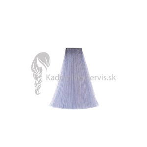 OiVita 39 Hair Cream Color - profesionální hydratační krémová barva na vlasy, 100 ml Silver - Toner