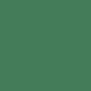 Kiepe Colored Tweezers - barevné pinzety na obočí, šikmý hrot, 10 cm Dark Green - tmavě-zelená