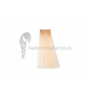 (EXP) OiVita 39 Hair Cream Color - profesionální hydratační krémová barva na vlasy, 100 ml 11.3 - Ultra Platinum Golden Blonde (EXP:04/23)