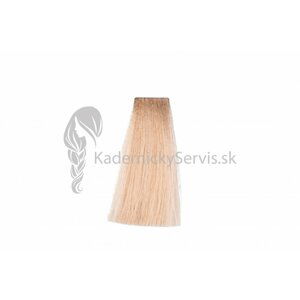 (EXP) OiVita 39 Hair Cream Color - profesionální hydratační krémová barva na vlasy, 100 ml EXP: 11/23 - 10.3 Platinum Golden Blonde