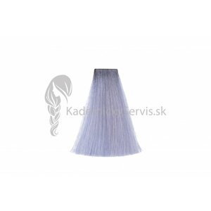 (EXP) OiVita 39 Hair Cream Color - profesionální hydratační krémová barva na vlasy, 100 ml EXP: 11/23 - Silver - Toner