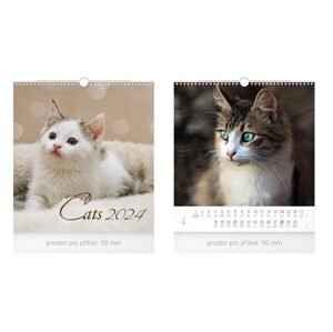 MFP 1061443 Kalendář 2024 nástěnný malý Cats