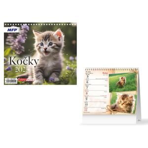 MFP 1061567 Kalendář 2025 stolní mini Kočky