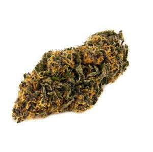 CBD konopí - Blue Amnesia - Weedshop Váha: 1 g