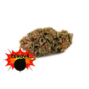 CBD konopí - Amnesia Haze - Weedshop - 0,7 % THC Váha: 3 g