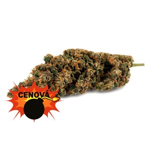 CBD konopí - Caramel Candy - Weedshop Váha: 5 g