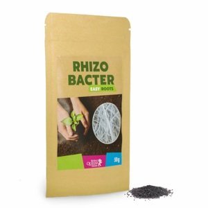 Royal Queen Seeds Stimulátor zakořenění Easy Roots Rhizobacter