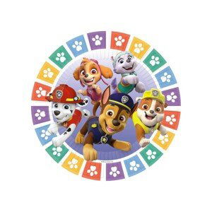 9914236-66 Godan Papírové talíře - Paw Patrol - barevné 23cm