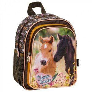 096077 DR Dětský batoh pro předškoláka - I love horses