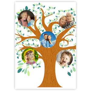 Plakát, Rodinný strom, 60x80 cm