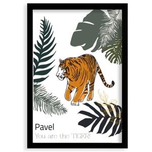 Plakát v rámu, Tygr - černý rámeček, 20x30 cm