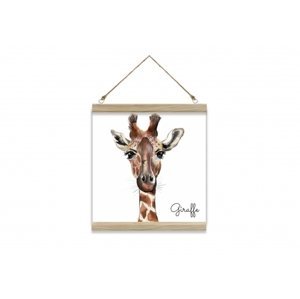 Obraz na provázku, Giraffe, 30x30 cm