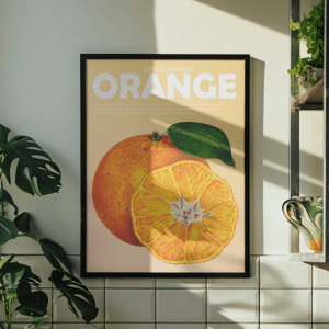 Plakát, Fruits - Orange, 30x40 cm