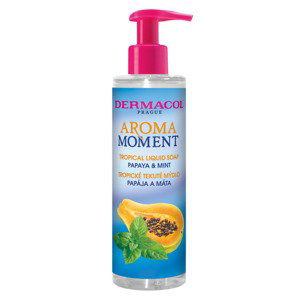 Dermacol Tekuté mýdlo na ruce Papája a máta Aroma Moment (Tropical Liquid Soap) 250 ml