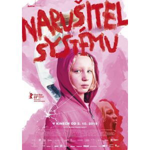 Narušitel systému, DVD