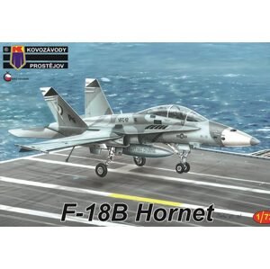 Zbytky F-18B Hornet