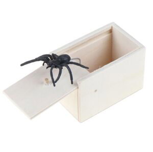 Pavouk v krabičce