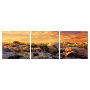 Obraz Triptych 60x180 (3ks 60x60cm)