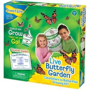 Insect Lore Motýlí zahrádka (3-5 housenek) - Butterfly Garden