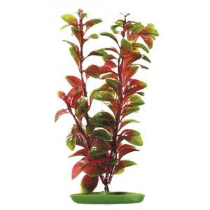 Rostlina Marina Red Ludwigia 30cm