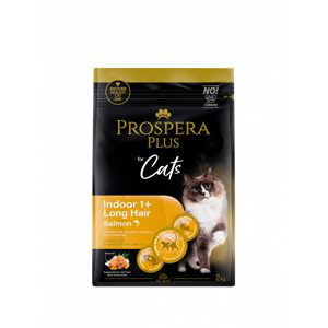 Prospera Plus Indoor 1+ Salmon Long Hair 2kg