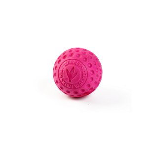 Hračka Kiwi Walker TPR guma míček růžový 5cm