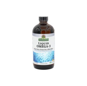 Nature's Answer Omega-3 Rybí olej s příchutí pomeranče, 480 ml,