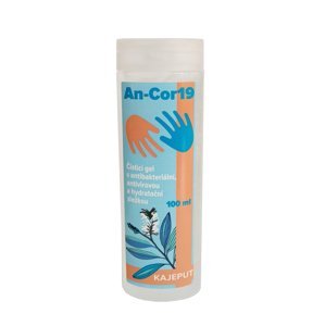 Day Spa AN-COR19 - Hydratační čisticí gel na ruce s alkoholem, 100 ml,