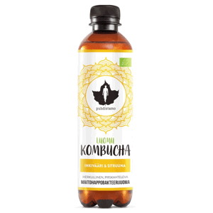 Puhdistamo Kombucha BIO ginger lemon (Bio Kombucha zázvor-citrón) 370ml